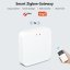Tuya WiFi ZigBee Hub EjLink Smartica BR01Z