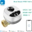eWeLink Zigbee vodní ventil DN25